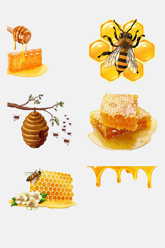 蜜蜂蜂蜜采蜜蜂巢设计元素