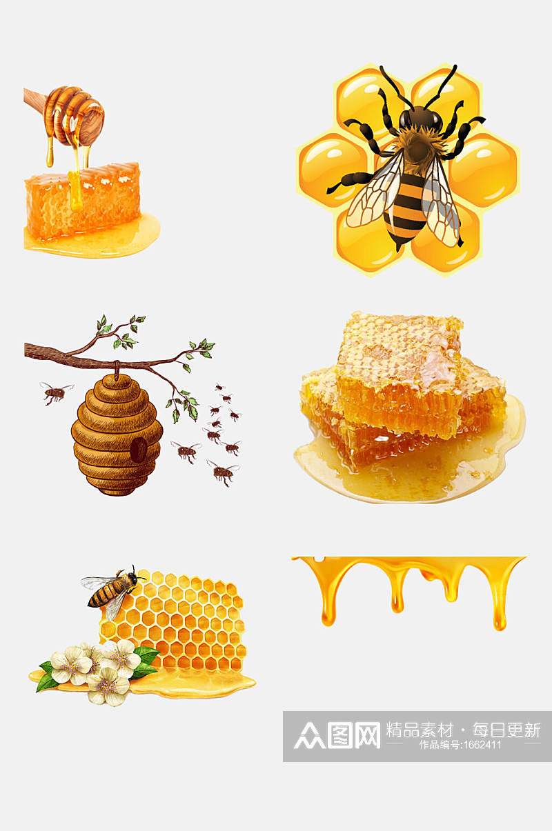 蜜蜂蜂蜜采蜜蜂巢设计元素素材