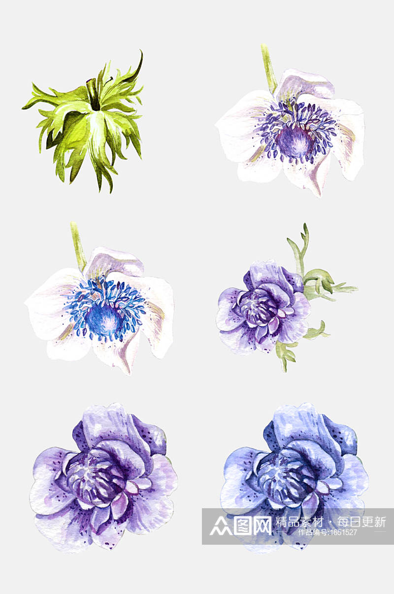 蓝色紫色花卉植物插画免抠png元素素材
