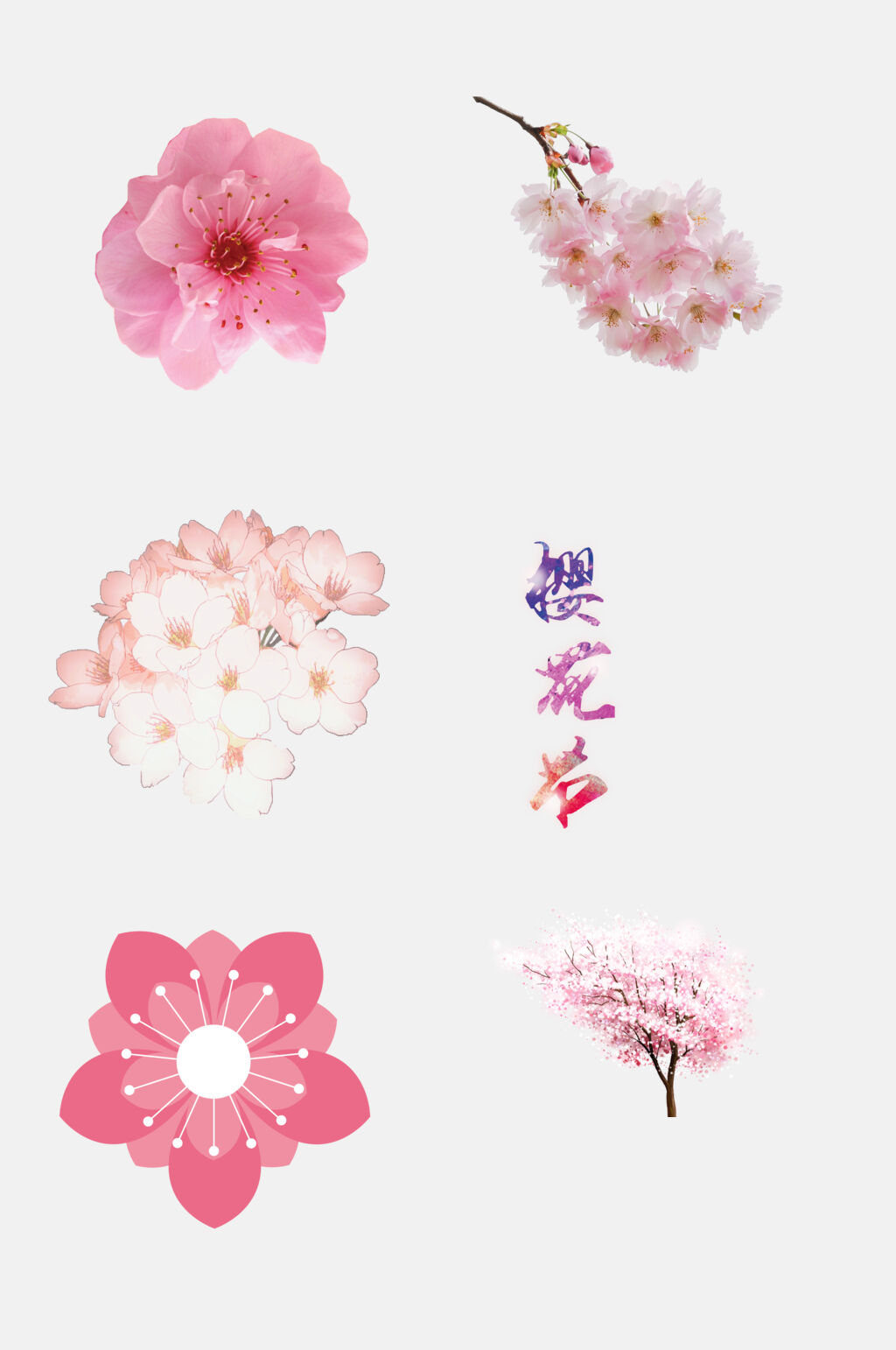 桃花桃花节素材灿烂植物素材