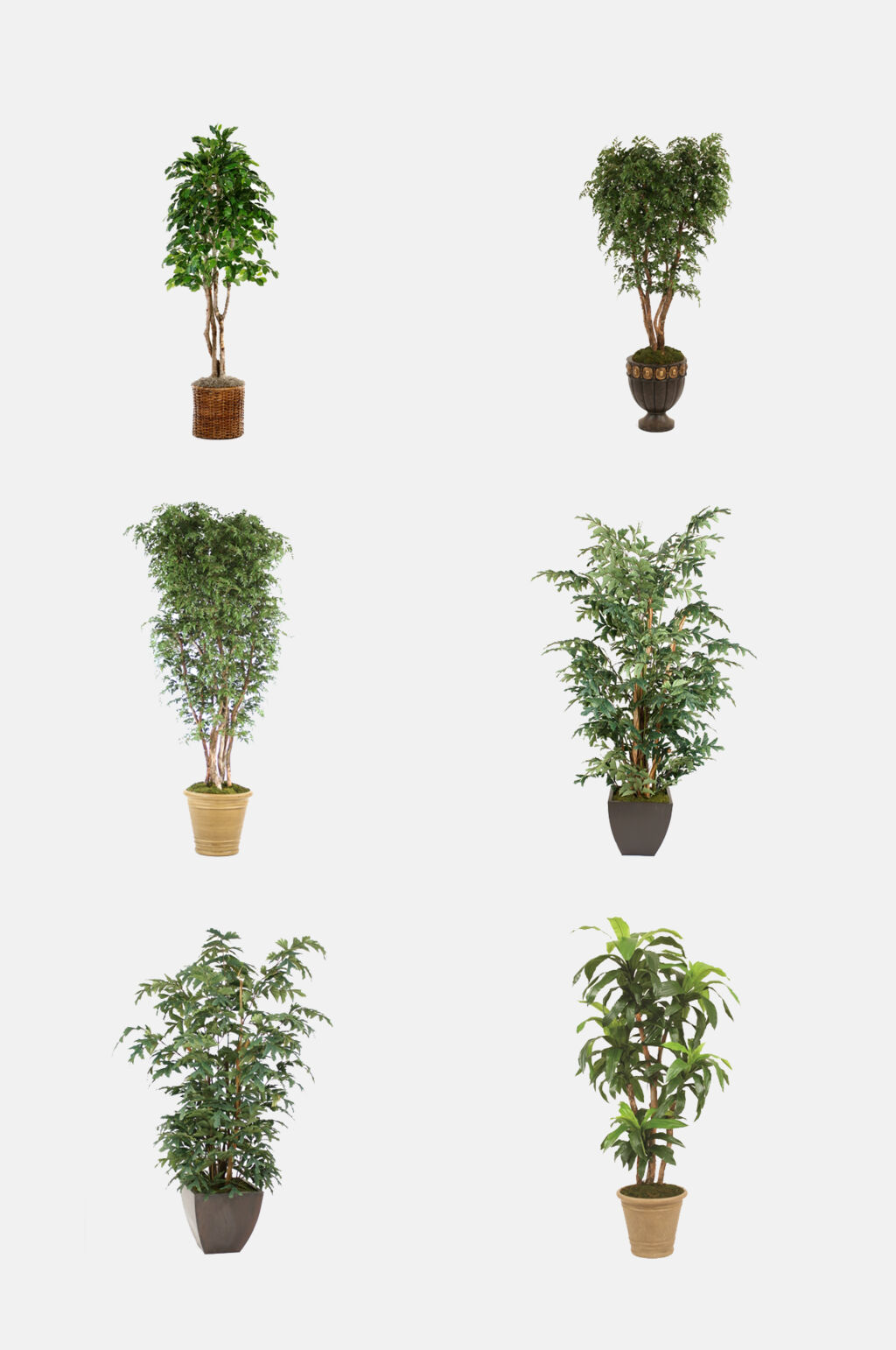 本年的亚冠决赛，谁会乐到最终？