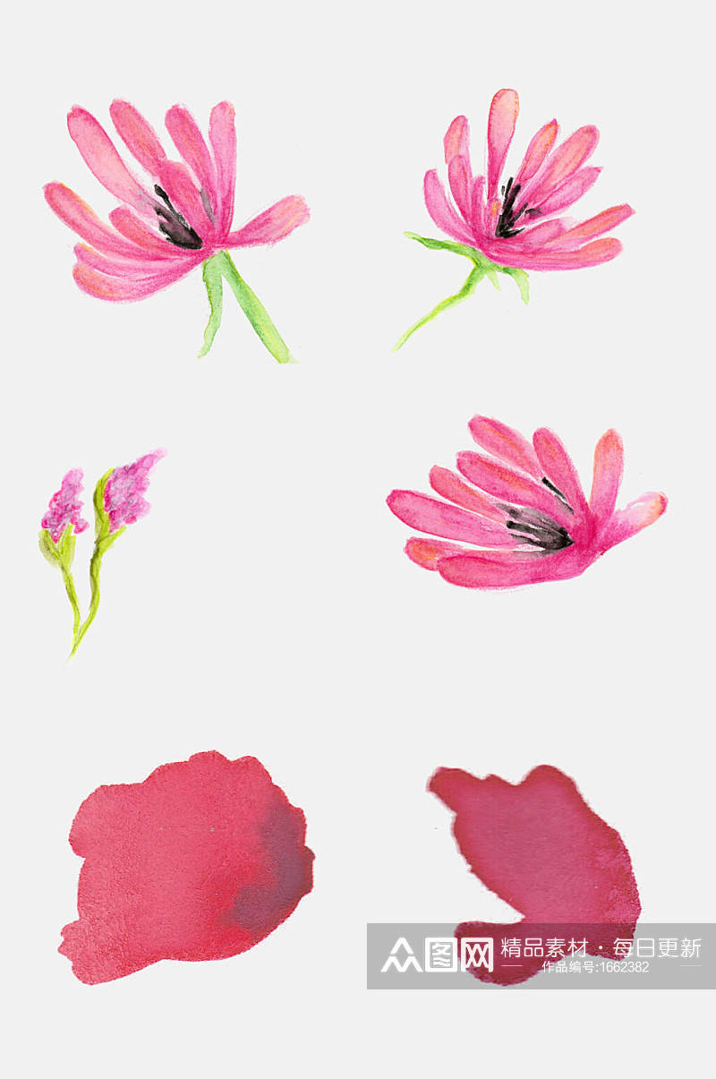 手绘花卉花瓣花朵红色设计元素素材