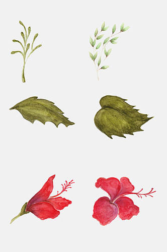 手绘花卉植物观察日记花朵叶子设计元素