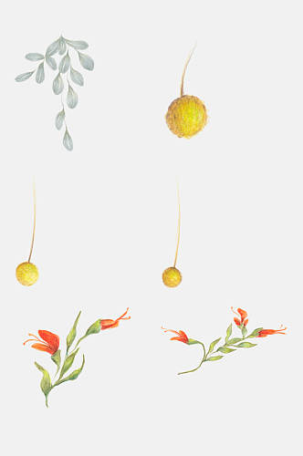 手绘花卉花瓣叶子植物设计元素