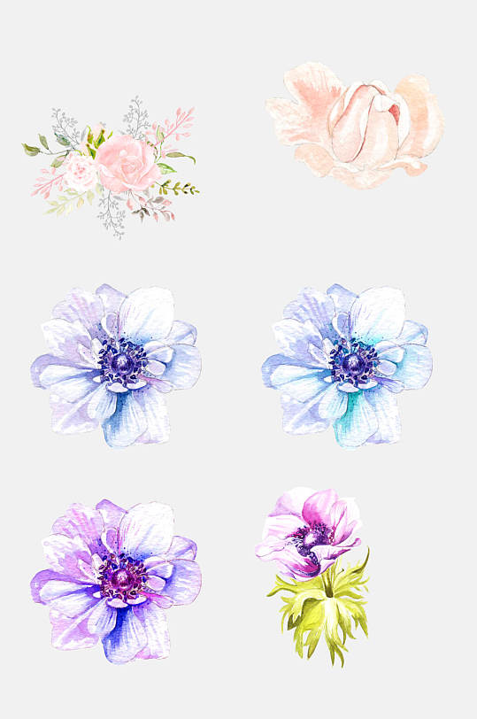 紫色花朵鲜花植物手绘免扣元素
