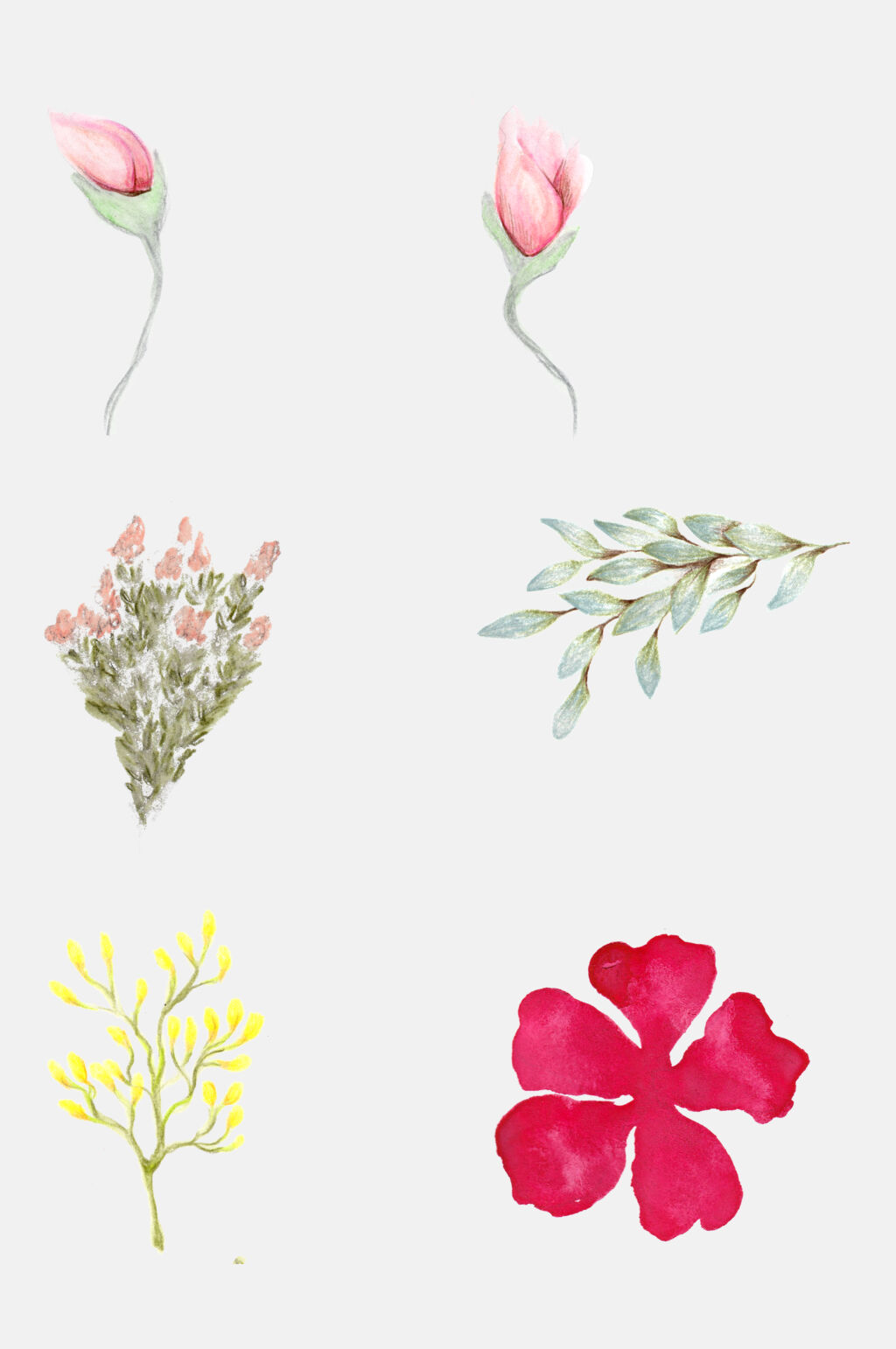 手绘花卉植物观察日记叶子花朵设计元素5素材