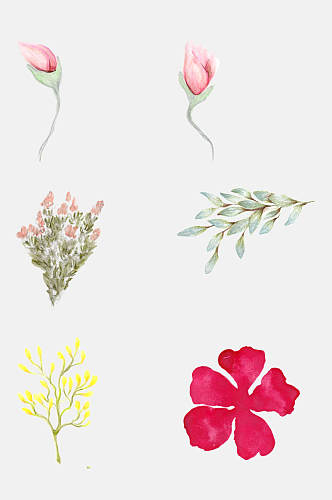 手绘花卉植物观察日记叶子花朵设计元素5
