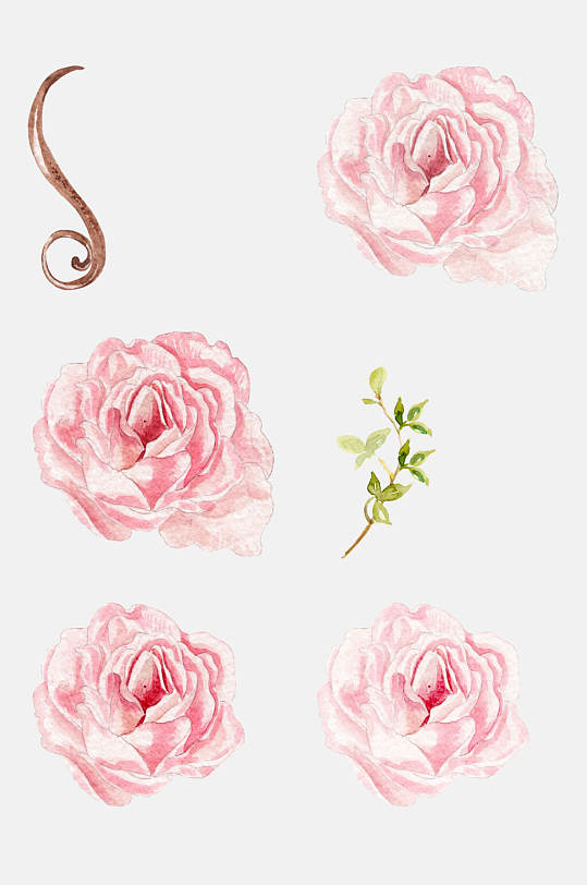 粉色花朵鲜花植物手绘免扣元素
