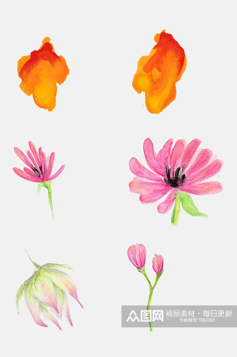 手绘花卉红花花瓣植物设计元素素材