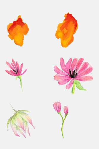 手绘花卉红花花瓣植物设计元素