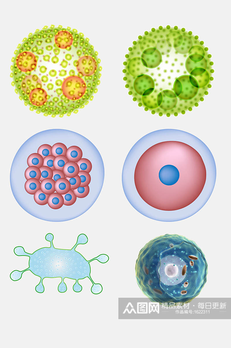 免抠元素各种细胞分裂元素素材素材