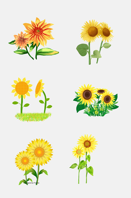 向日葵花束图片 向日葵花束素材下载 众图网