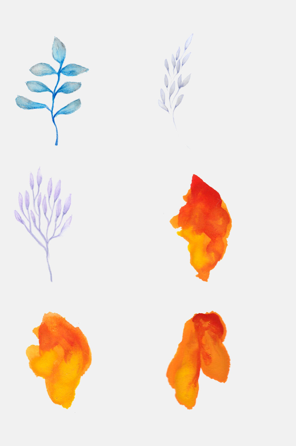 手绘花卉植物观察日记叶子花朵设计元素素材