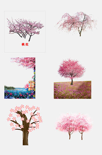樱花节桃花节素材灿烂美丽樱花桃花