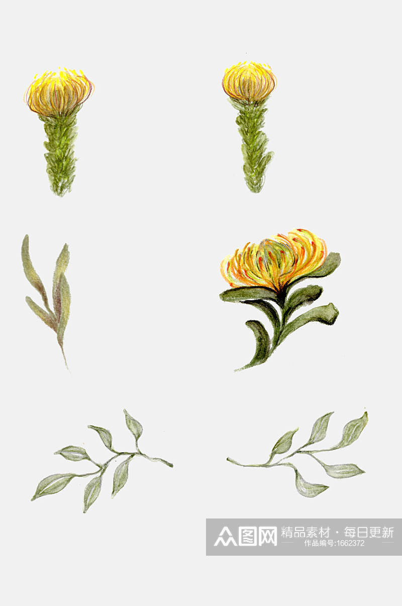 手绘花卉花萼花朵叶子植物日记设计元素素材