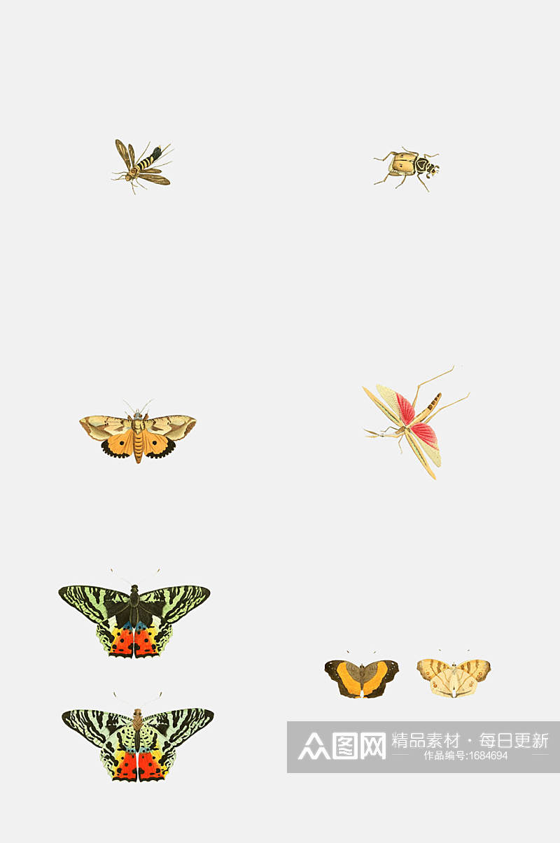 五彩斑斓蝴蝶昆虫素材素材