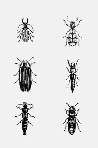 免抠元素复古昆虫黑色害虫元素素材