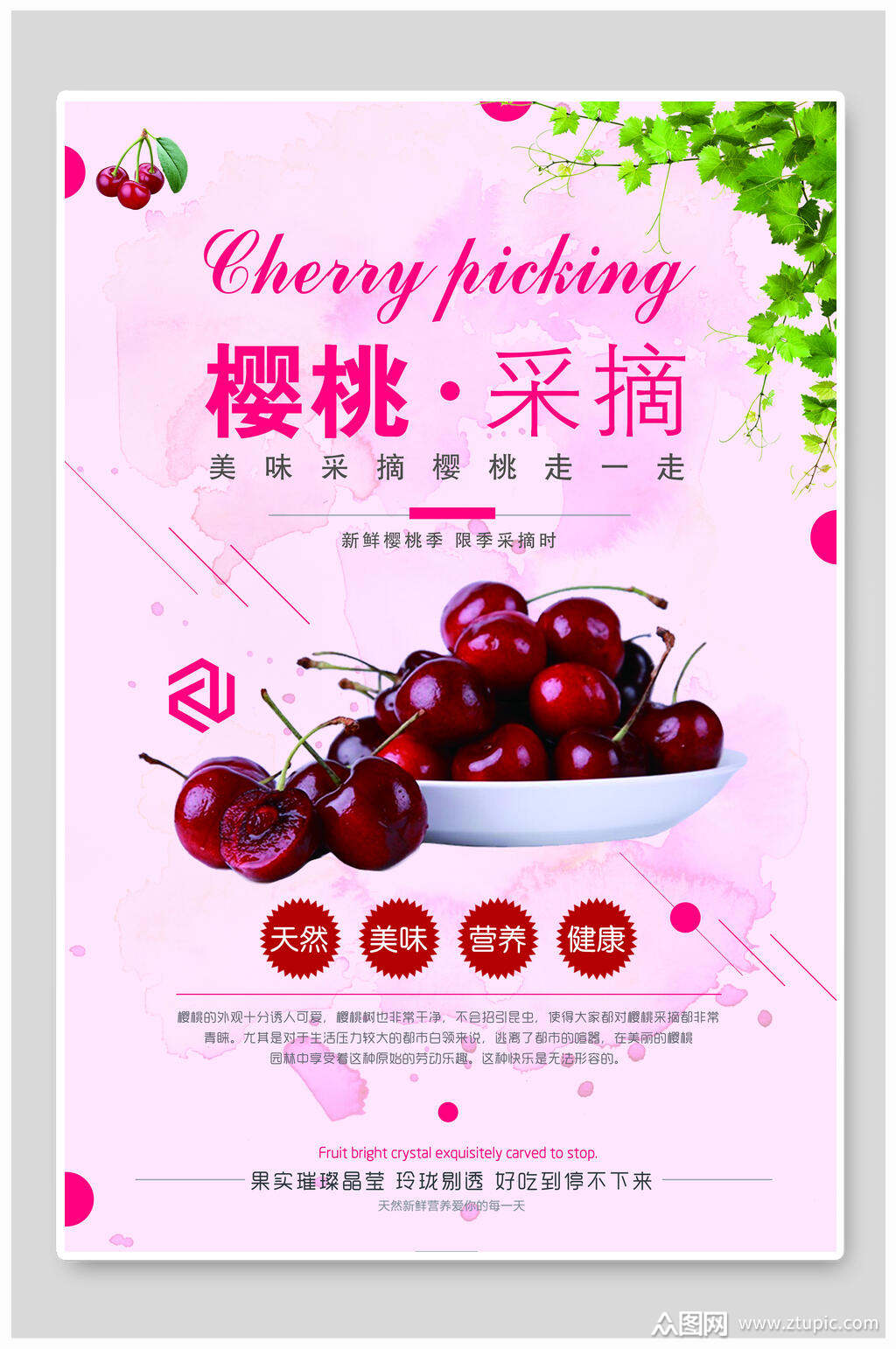 竖版采摘樱桃海报模板下载-编号1453687-众图网