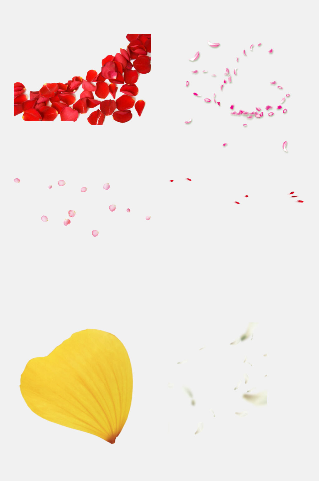 清新花瓣设计元素素材