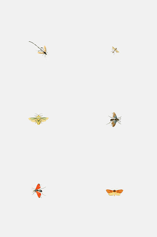 昆虫蝴蝶蜻蜓飞蛾设计元素-众图网