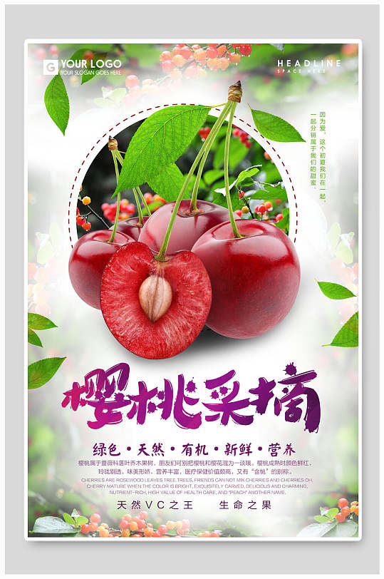 樱桃采摘宣传海报-众图网