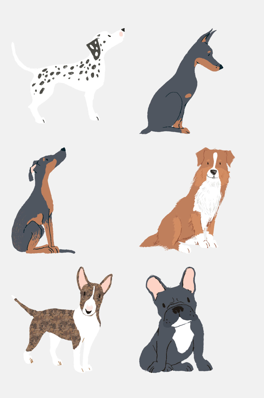 贵宾犬牧羊犬德牧狗动物卡通免扣元素素材