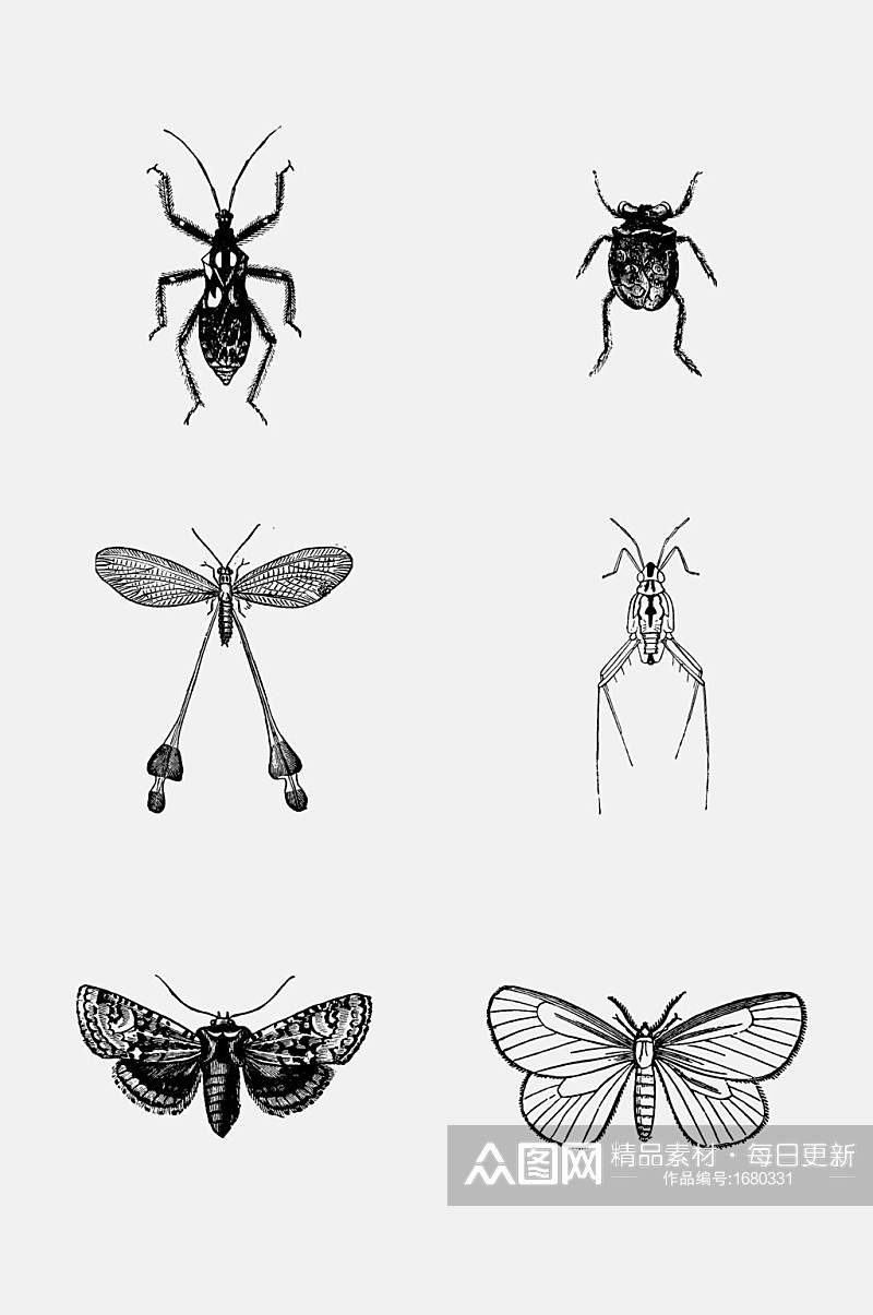 黑白色昆虫元素素材素材