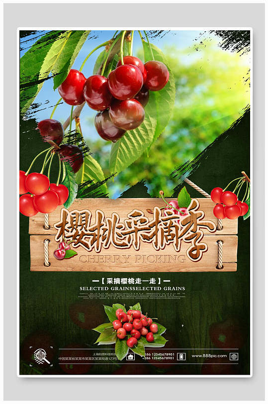 竖版采摘天然樱桃海报
