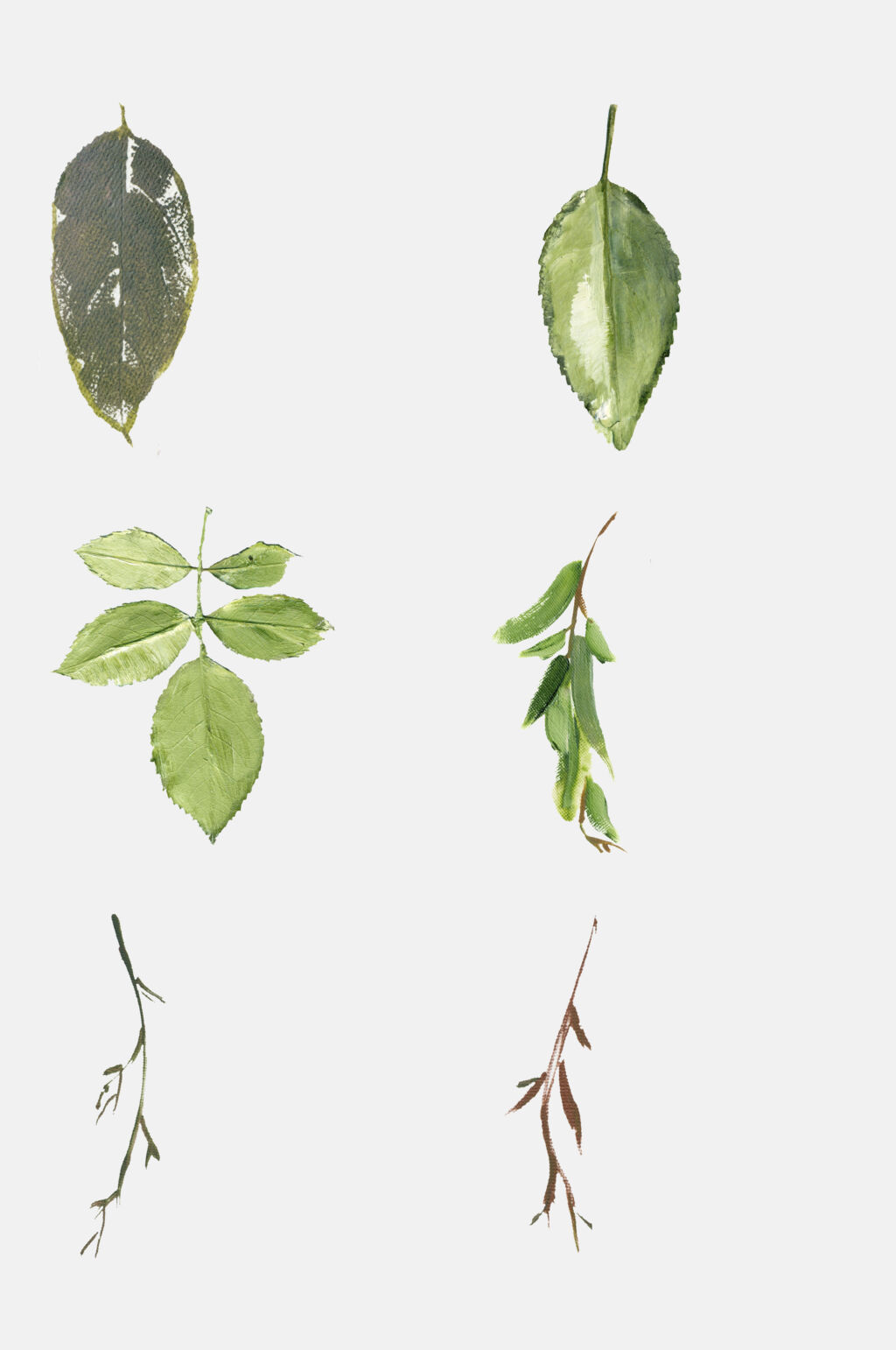 手绘叶子绿色植物水彩元素素材
