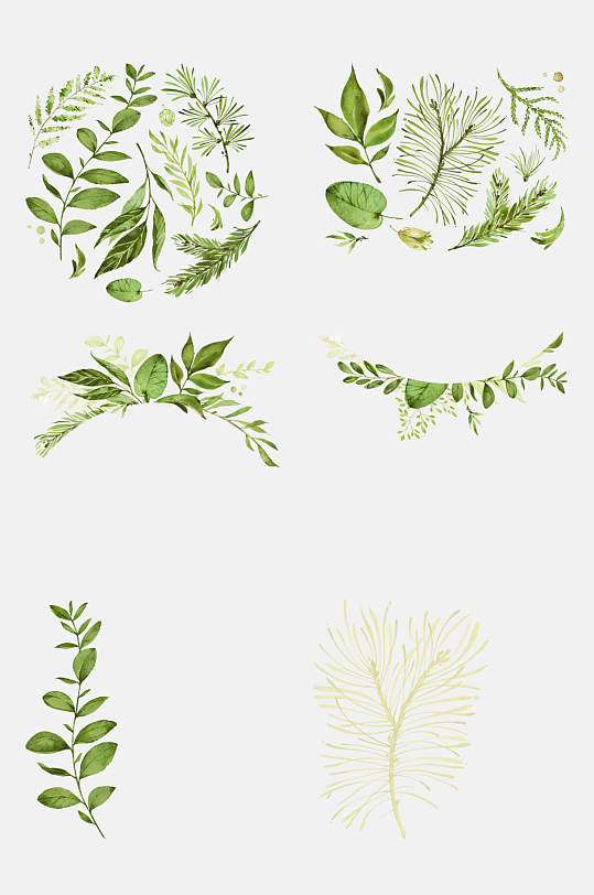 手绘植物绿叶盘花元素素材
