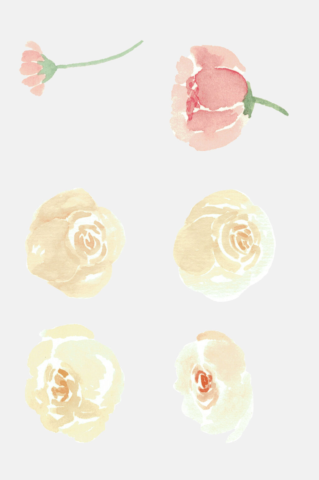 小清新嫩黄色花朵水彩植物元素素材