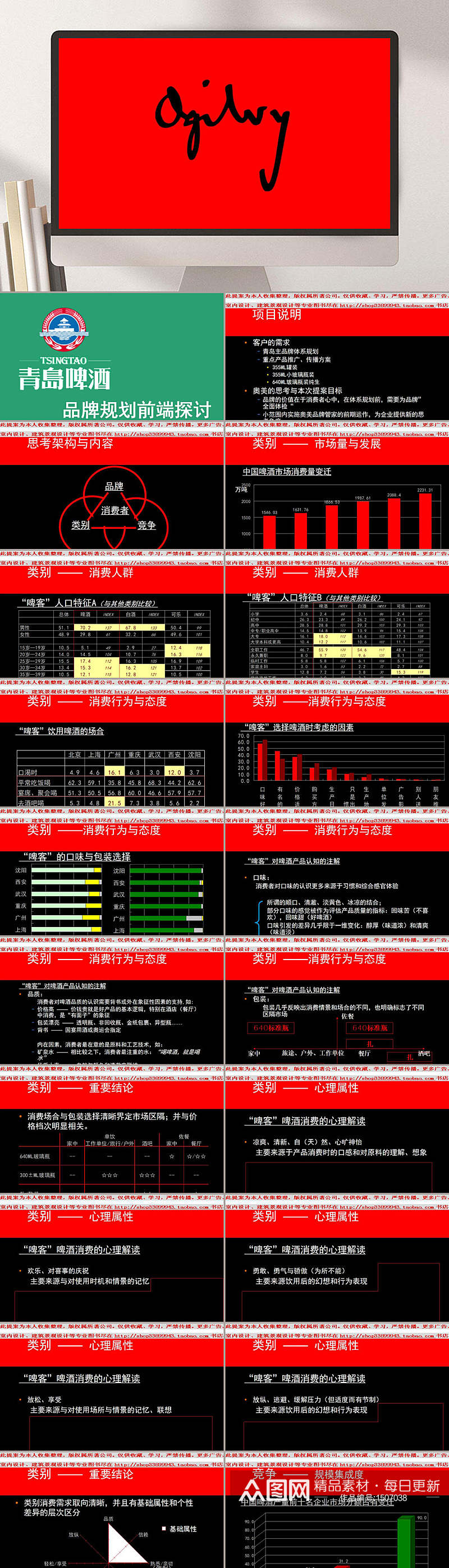 青岛啤酒品牌规划前端探讨PPT素材