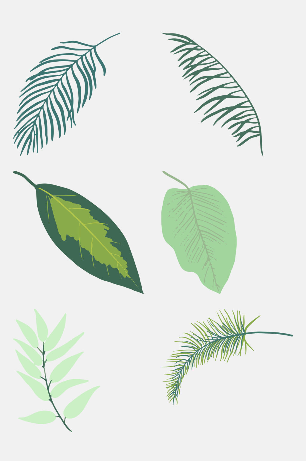 植物花卉绿色春天免扣元素素材