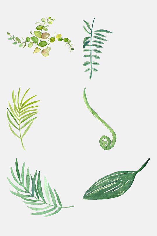 水彩手绘花卉素材元素热带植物花束花环