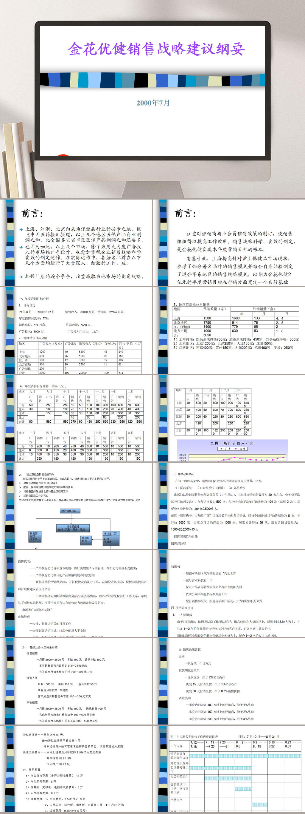 金花销售战略建议梅高PPT模板素材