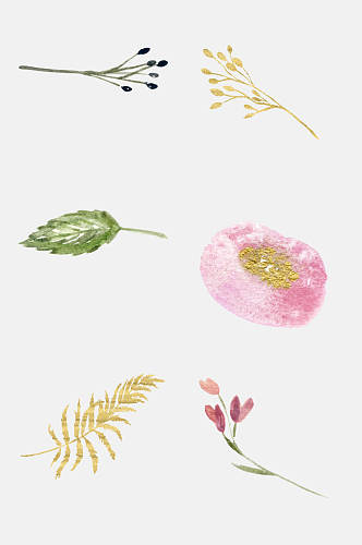 手绘花纹水彩花卉植物元素