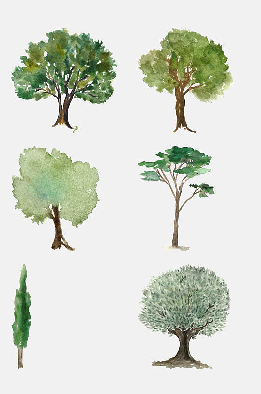 热带植物水彩手绘花卉素材元素花束花环