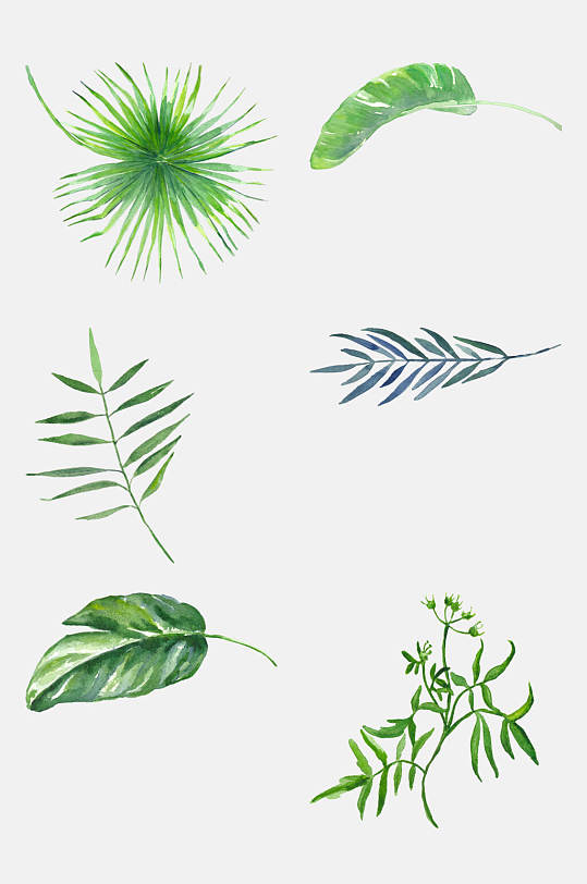 热带植物花束花环树叶叶子水彩手绘素材