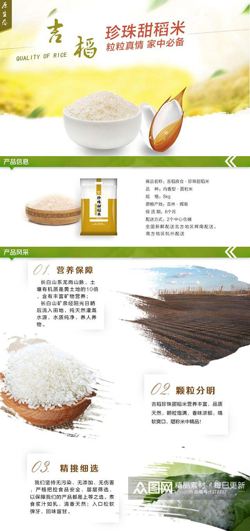 大米珍珠甜稻米粒粒真情素材