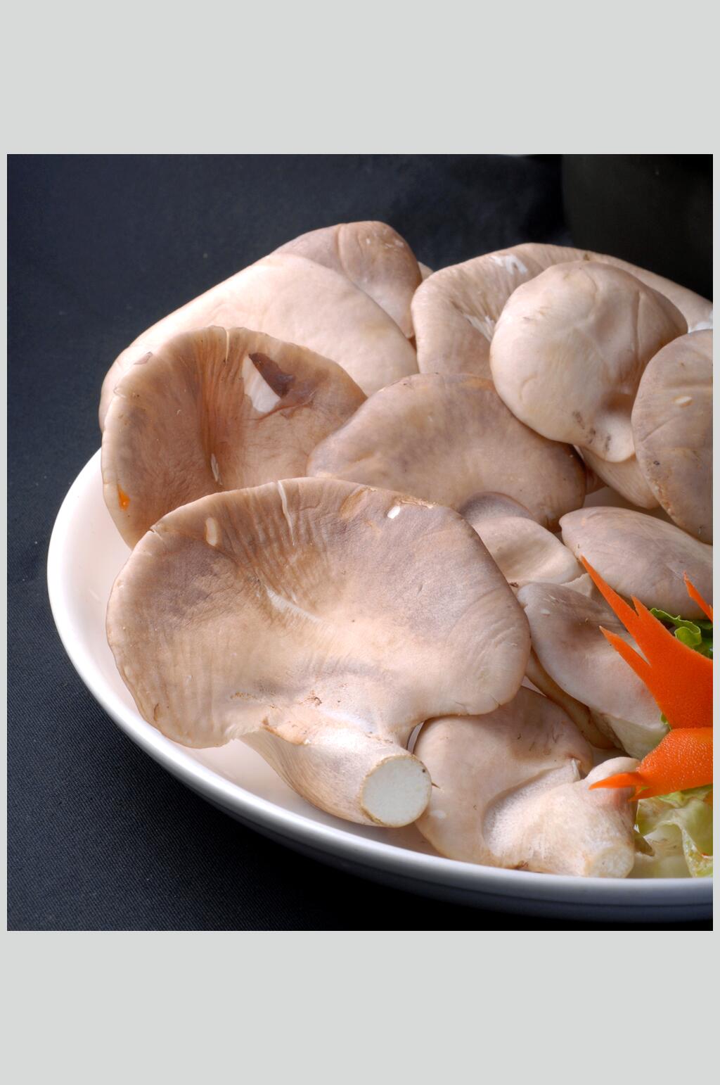 云南野生菌类高清图片素材