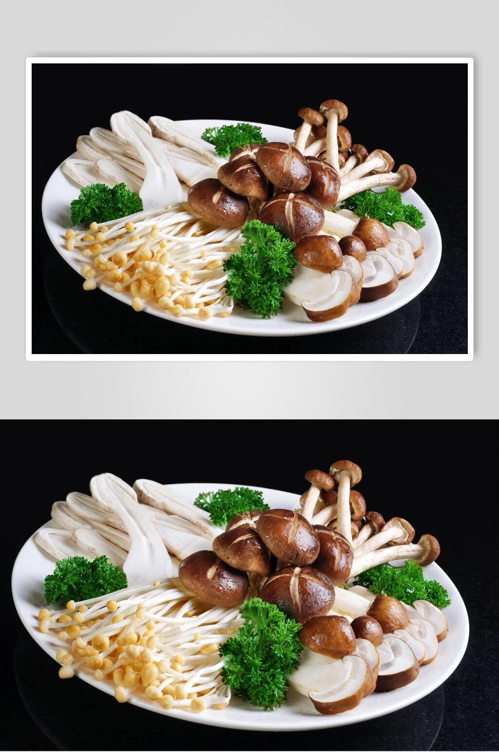 云南野生菌高清图片素材
