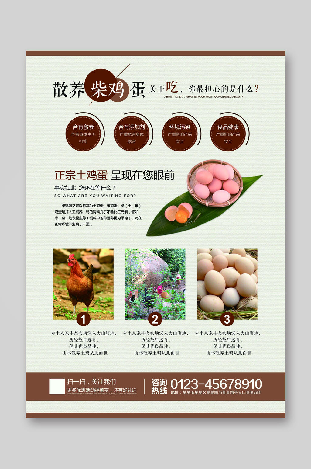 散养柴鸡蛋超市DM宣传单素材