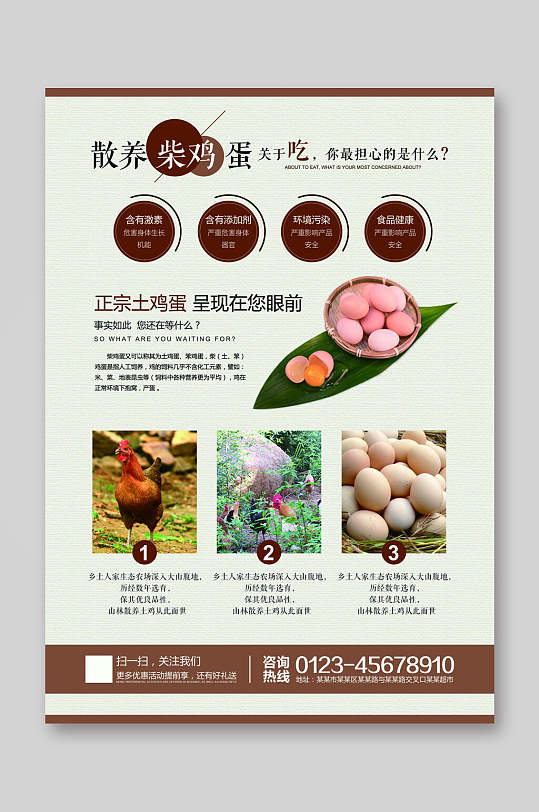 鸡蛋宣传单图片-鸡蛋宣传单设计素材-鸡蛋宣传单模板下载-众图网