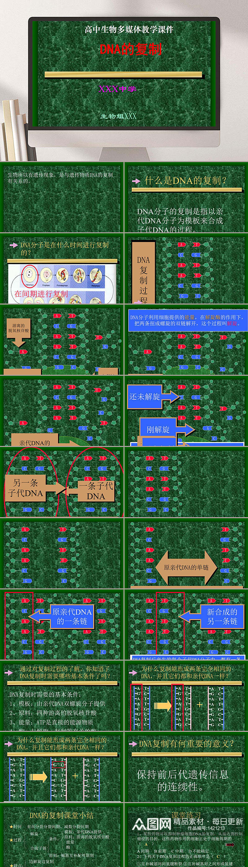 高中生物多媒体教学课件PPT模板素材