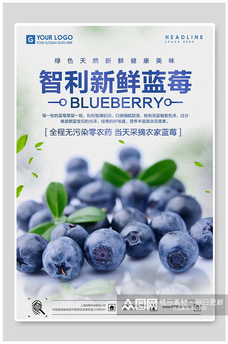 智利新鲜蓝莓海报素材