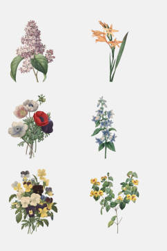 花卉插画印花设计元素