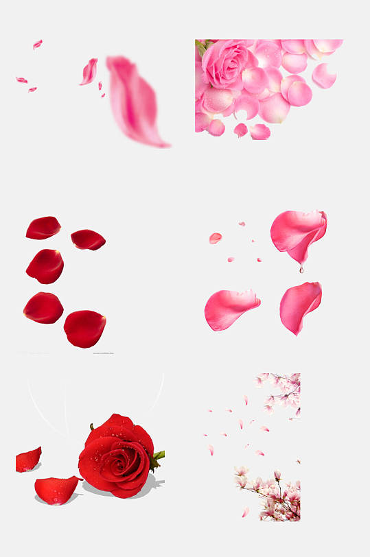 花瓣免抠元素红玫瑰粉玫瑰花瓣