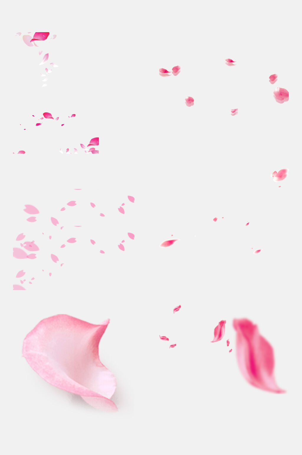 花瓣免抠元素白底全页面飞花设计元素素材
