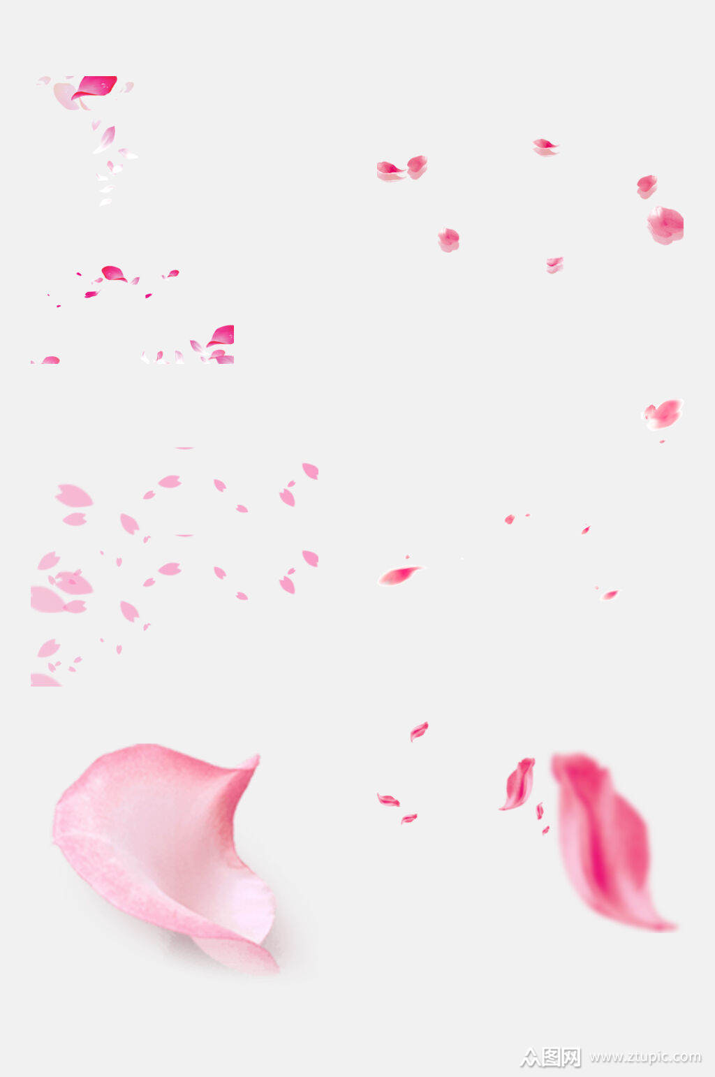 花瓣免抠元素白底全页面飞花设计元素素材
