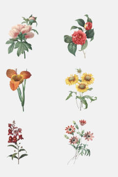 花卉插画印花设计元素